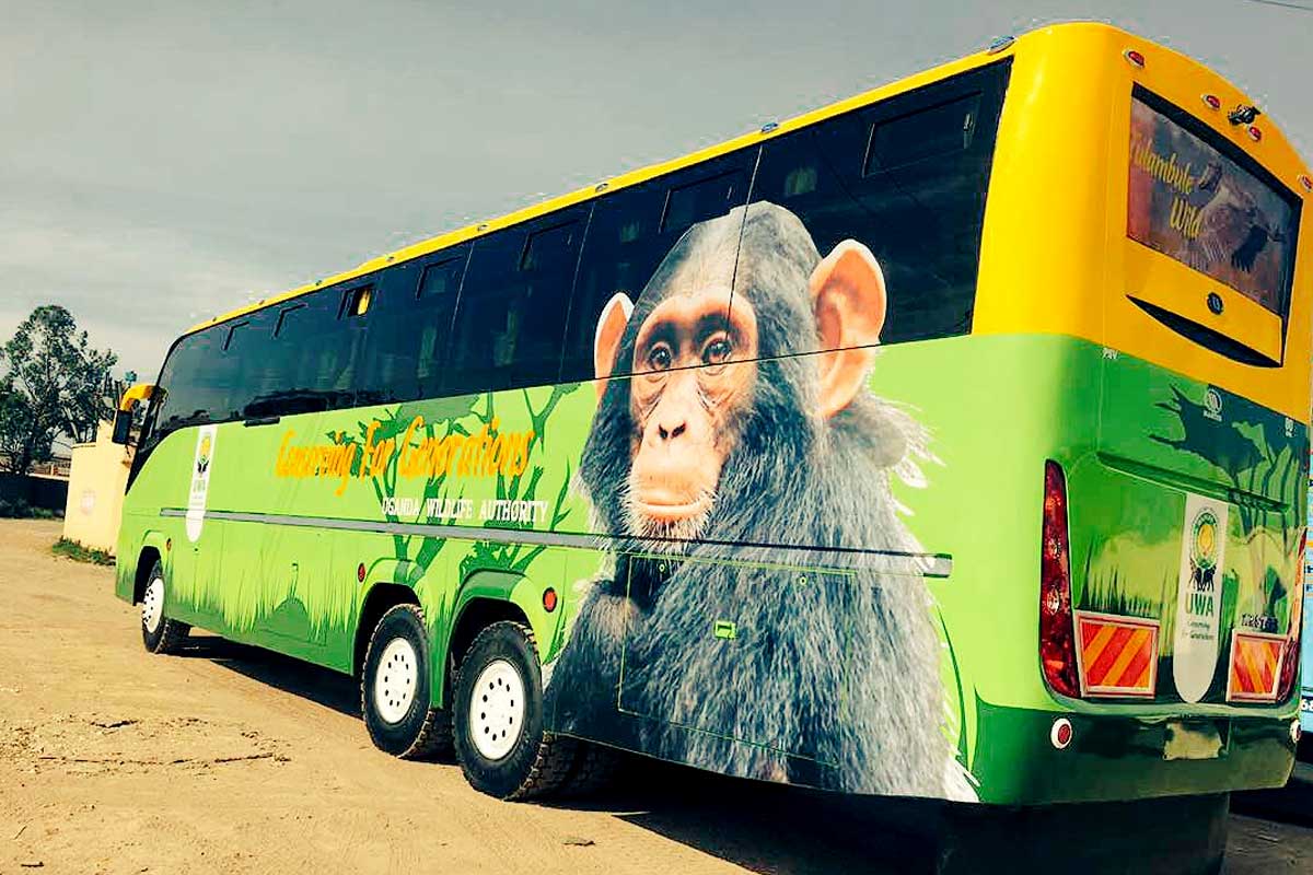 tour-bus tour-bus