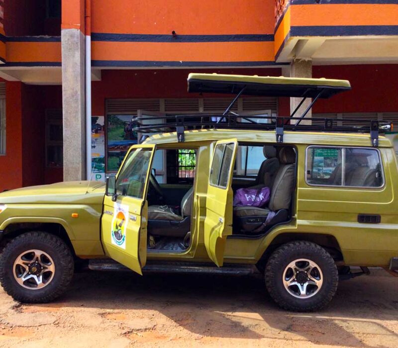 safari-land-cruiser