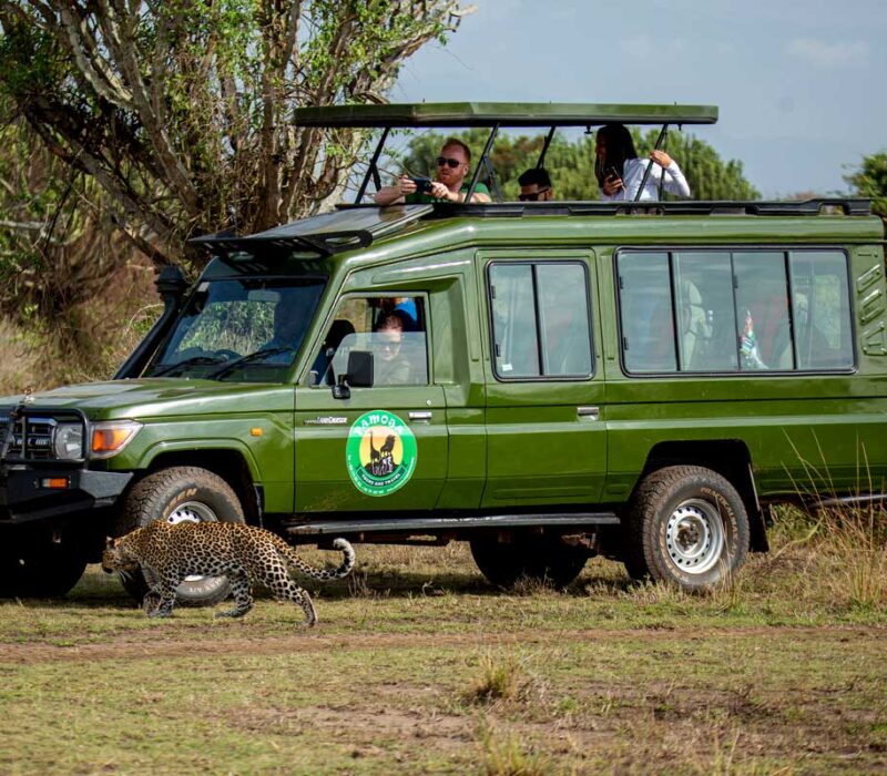 safari-land-cruiser-extended